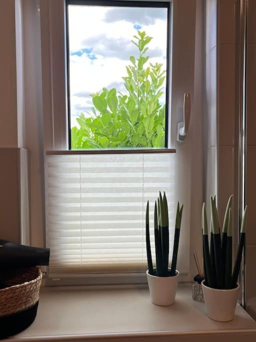 Appartement Buechensaal Mit Stellplatz Erlensee Εξωτερικό φωτογραφία